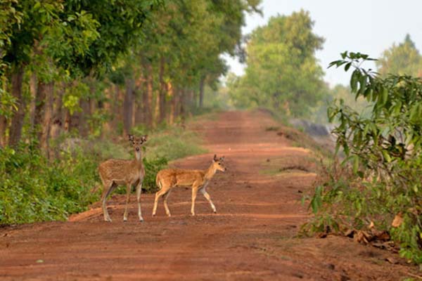 Bishnupur